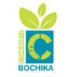 www.bochika.org